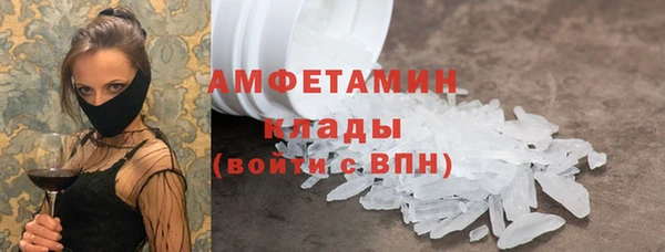гашик Алексин