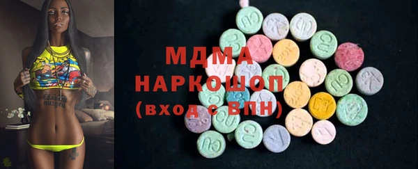 гашик Алексин