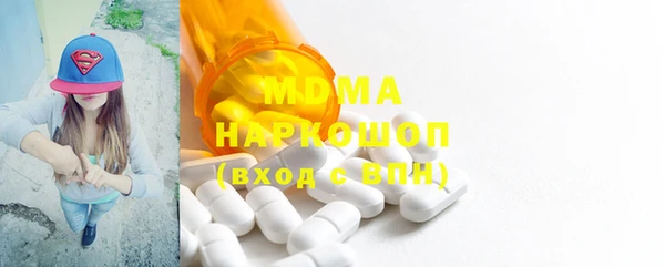 гашик Алексин