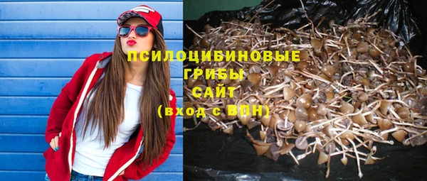 гашик Алексин