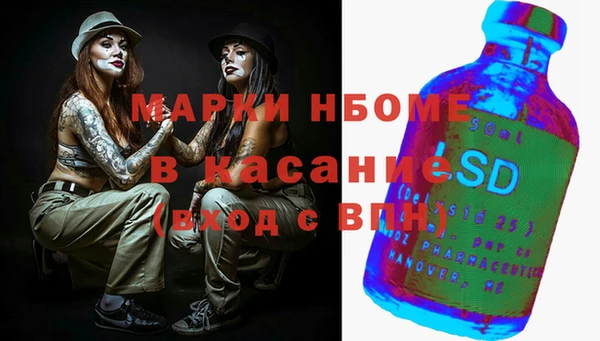 гашик Алексин