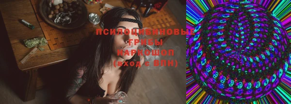гашик Алексин