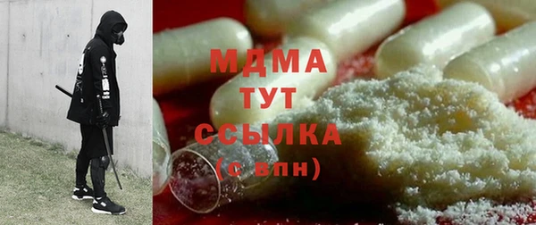 гашик Алексин
